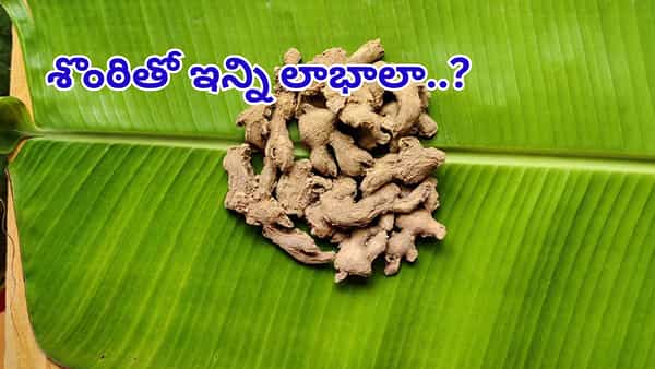 వారెవ్వా.. శొంఠితో ఇన్ని లాభాలా..? ఆరోగ్య అద్భుతాలు తెలిస్తే అస్సలు వదిలిపెట్టరు!