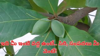 Weight loss: జిమ్‌ వెళ్లే పనిలేదు.. ఇలా చేస్తే.. మీ కొవ్వు వెన్నలా కరగాల్సిందే