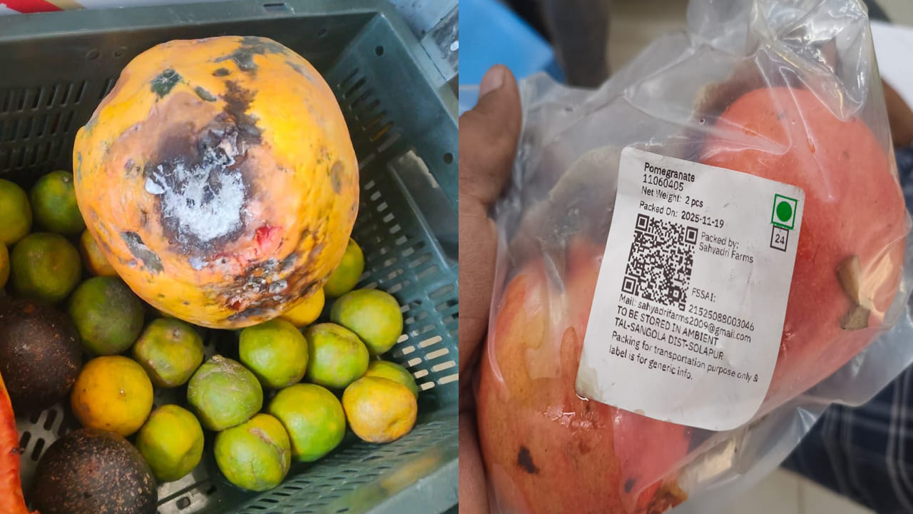 ఫుడ్ అండ్ గ్రాసరీ డెలవరీ యాప్స్ గోదాముల్లో తనిఖీలు! అక్కడి పరిస్థితి చూసి షాకైన అధికారులు