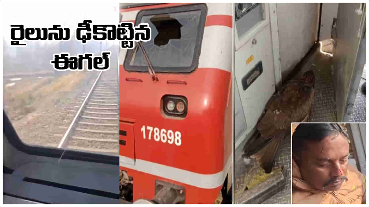 Viral Video: రైలును ఢీకొట్టి క్యాబిన్‌లోకి ప్రవేశించిన డేగ.. డ్రైవర్‌కు తీవ్ర గాయాలు.. వీడియో వైరల్‌!