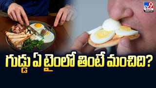 Washing Machine Care: బ్లీచ్ కంటే పవర్ఫుల్! నాచును పైపుల్లోకి వెళ్లి నాశనం చేసే ఆ వంటగది వస్తువు ఇదే!
