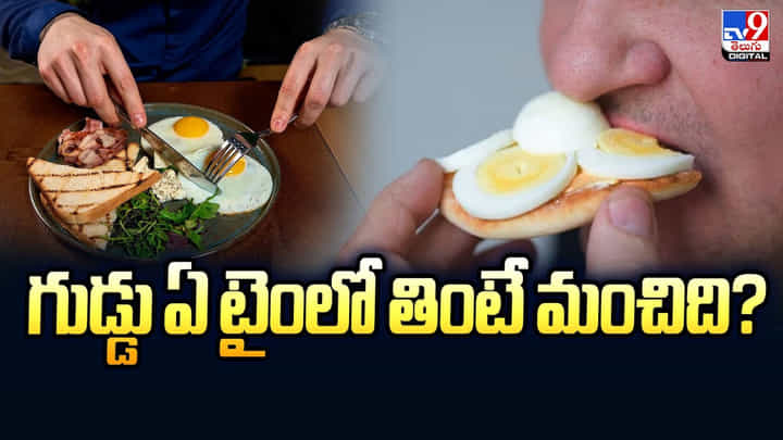 గుడ్డు ఏ టైంలో తింటే మంచిది.. ప్రతి ఒక్కరు తప్పక తెలుసుకోవాల్సిన విషయం గుడ్డు ఏ టైంలో తింటే మంచిది.. ప్రతి ఒక్కరు తప్పక తెలుసుకోవాల్సిన విషయం