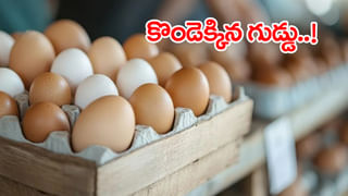 మావోయిస్టులకు భారీ ఎదురుదెబ్బ.. ఎదురుకాల్పుల్లో కేంద్ర కమిటీ నాయకుడు హిడ్మా మృతి..!