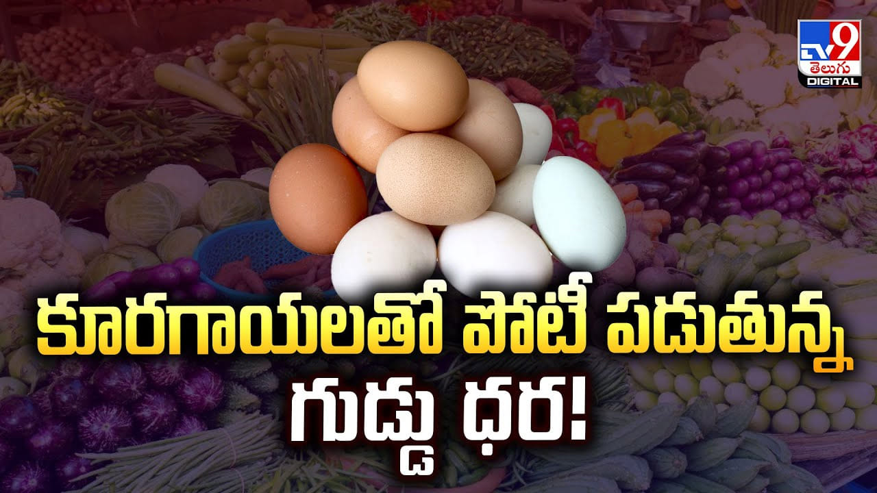 కూరగాయలతో పోటీ పడుతున్న గుడ్డు ధర