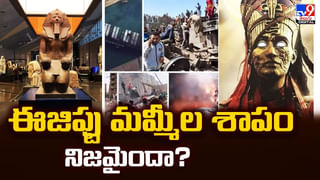 చీమల భయంతో ప్రాణాలు తీసుకున్న మహిళ