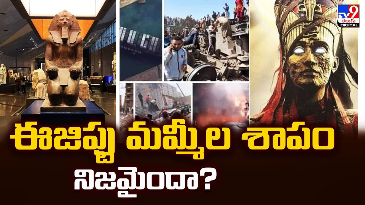 ఈజిప్టు మమ్మీల శాపం నిజమైందా