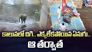 భర్త బస్సు ఎక్కలేదని దూకేసిన భార్య.. తర్వాత వీడియో