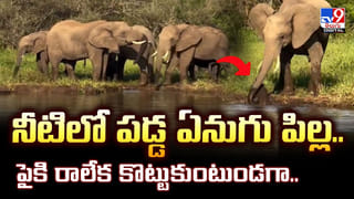 కొంపముంచిన హీటర్‌.. డ్రైవర్‌ సజీవదహనం!