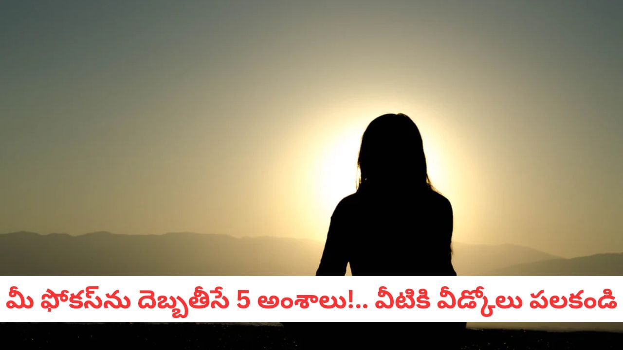 Focus Hacks: ఈ 6 ప్రశ్నలకు సమాధానం తెలిస్తే డబ్బు, సక్సెస్ ఎప్పుడూ మీ వెంటే..