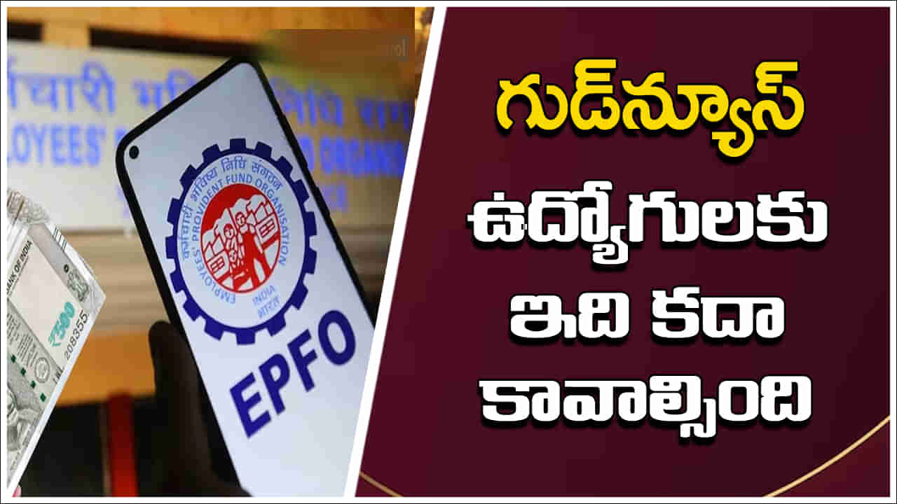 EPFO: ఉద్యోగులకు ఇది కదా కావాల్సింది.. ఈపీఎఫ్‌వో సంచలన నిర్ణయం!