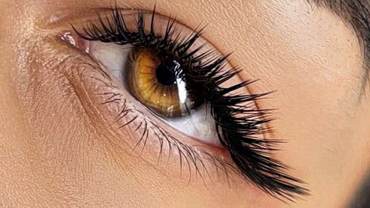 Eye Lash