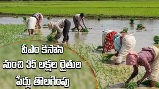 PM Kisan: పీఎం కిసాన్‌ నుంచి 35 లక్షల మంది రైతుల పేర్లు తొలగింపు.. మీ పేరు కూడా ఉందా?