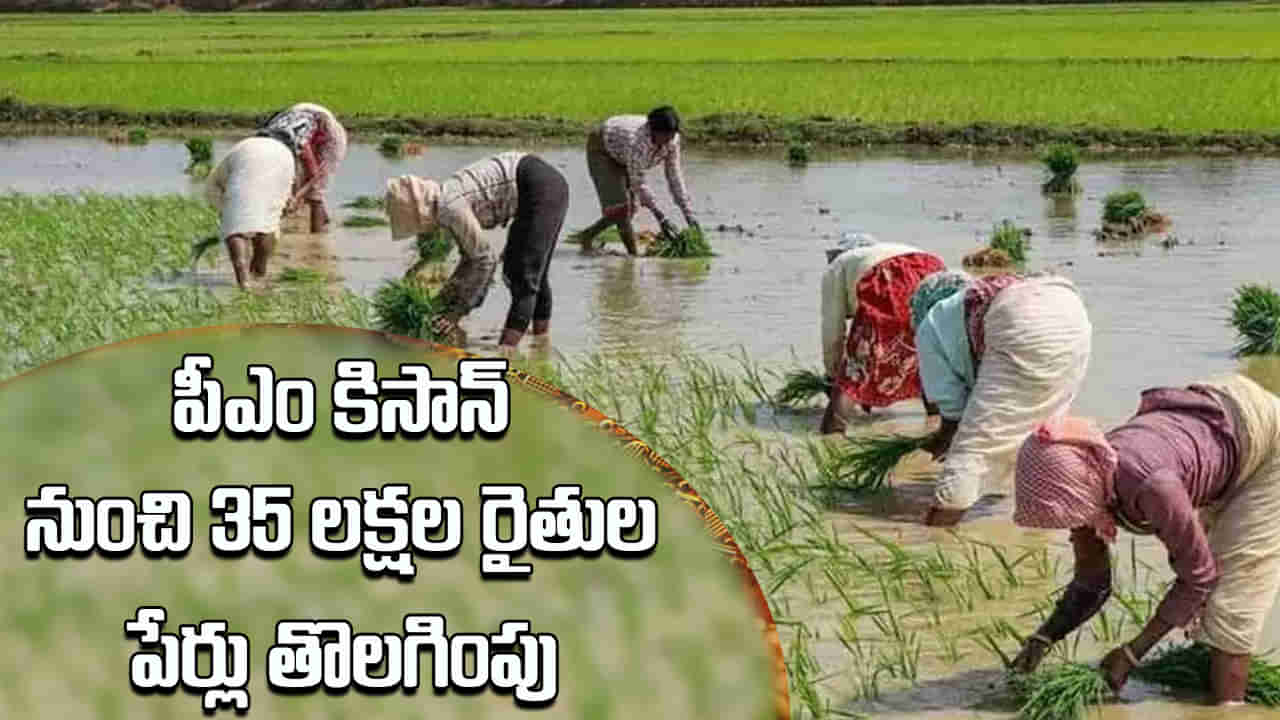 PM Kisan: పీఎం కిసాన్ నుంచి 35 లక్షల మంది రైతుల పేర్లు తొలగింపు.. మీ పేరు కూడా ఉందా?