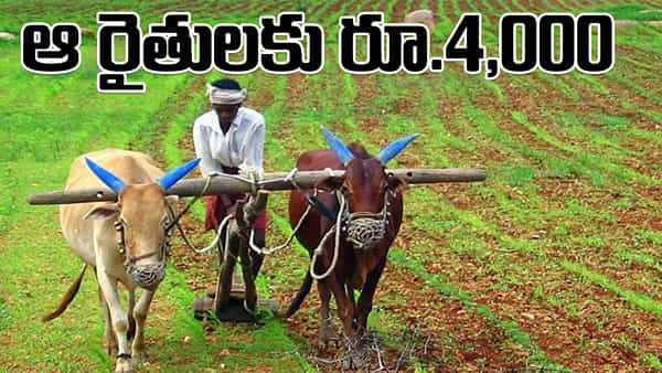 PM Kisan: ఆ రైతులకు గుడ్న్యూస్.. ఒకేసారి రూ.4000 పీఎం కిసాన్ డబ్బులు!