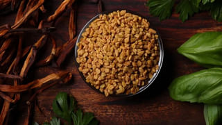 Longest living animal: భూమిపై ఎప్పటికీ చావేలేని ప్రాణి ఇది.. దీని అసలు సీక్రెట్‌ ఇదే!