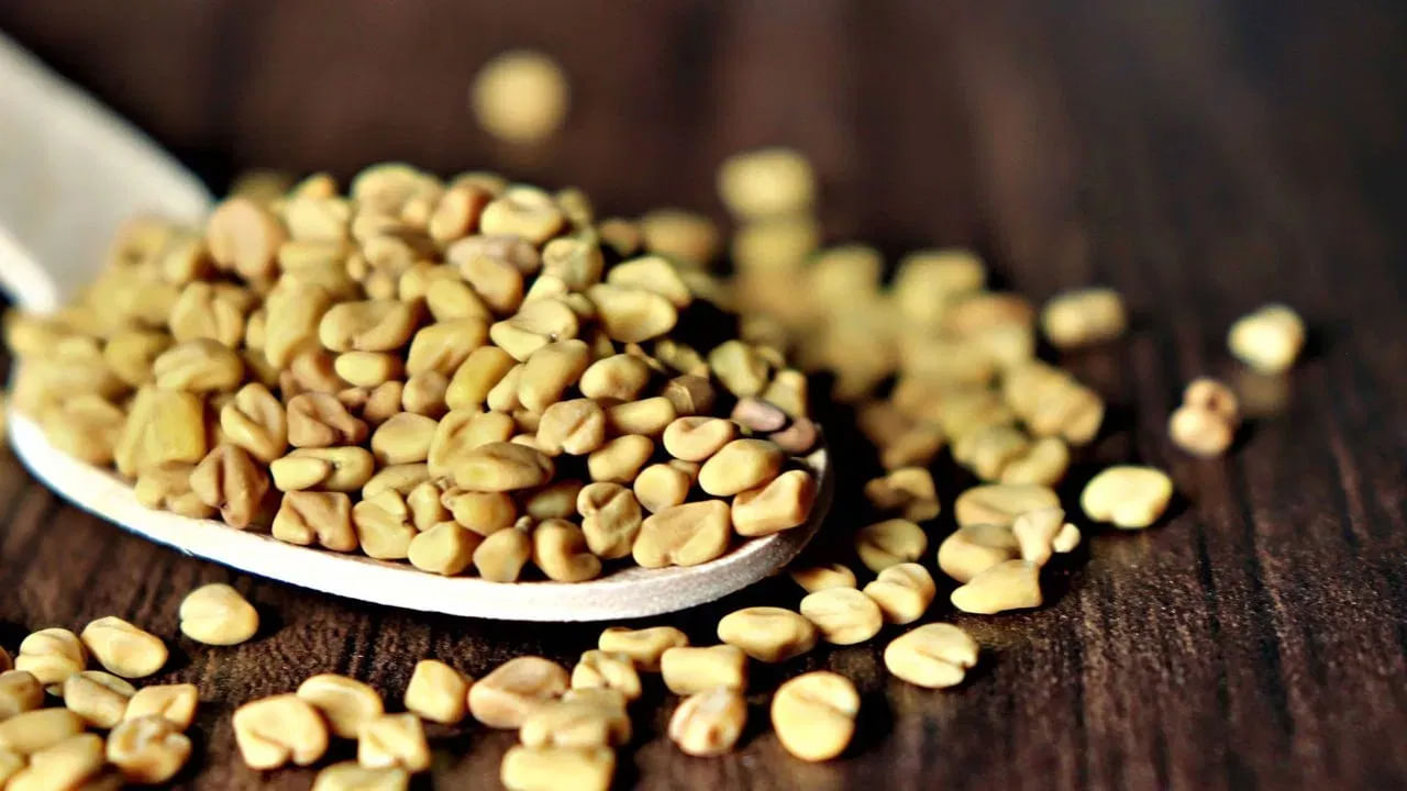 మెంతి గింజలలో లభించే కరిగే ఫైబర్ రక్తంలో చక్కెర స్థాయిలను స్థిరీకరించడంలో సహాయపడుతుంది. ఇది శరీరం ఇన్సులిన్ సెన్సిటివిటీని నియంత్రించడంలో సహాయపడుతుంది. తద్వారా శరీరం కొవ్వుకు బదులుగా చక్కెరను శక్తిగా మార్చడాన్ని సులభతరం చేస్తుంది.