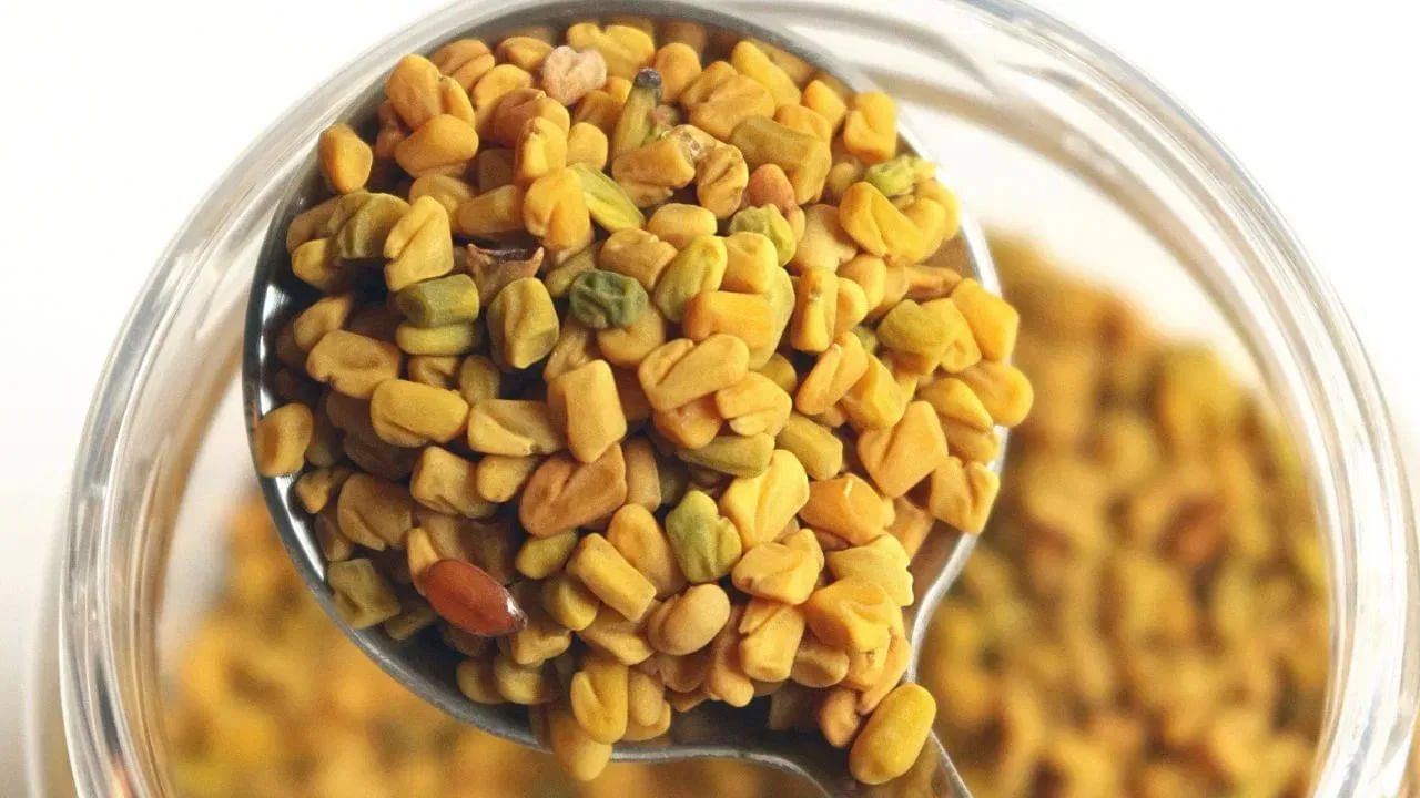 మెంతి నీటిలోని డీటాక్సిఫైయింగ్, యాంటీ ఇన్ఫ్లమేటరీ లక్షణాలు చర్మంపై కూడా కనిపిస్తాయి. శరీరం నుంచి టాక్సిన్స్, అదనపు నూనెను తొలగించడంలో కీలకంగా పనిచేస్తాయి. తద్వారా మొటిమలు మాయమై చర్మం సహజంగా మెరుస్తుంది. ఒక టీస్పూన్ మెంతి గింజలను ఒక గ్లాసు నీటిలో రాత్రంతా నానబెట్టి, ఉదయం ఆ నీటిని వడకట్టి ఖాళీ కడుపుతో తాగాలి. విత్తనాలను కూడా తినవచ్చు. ఇది ఫైబర్ కంటెంట్ను పెంచుతుంది.