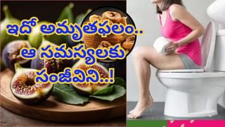 సీజన్‌తో పనిలేదు.. క్యారెట్‌ జ్యూస్‌తో ఖతర్నాక్‌ బెనిఫిట్స్‌.. తెలిస్తే ఖచ్చితంగా వదలరు..!