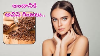 Soya Chaap: వెజిటేరియన్ ప్రియులకు పండగే! సోయా చాప్‌ను పర్ఫెక్ట్‌గా ఇంట్లోనే చేసుకునే రెసిపీ..