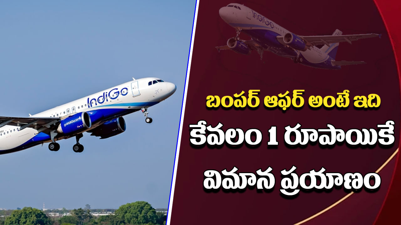 Flight Tickets: బంపర్‌ ఆఫర్‌.. 1 రూపాయికే విమాన టికెట్‌.. ఏంటి నమ్మడం లేదా? నిజమే!