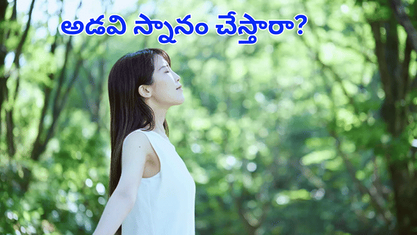 నీటి స్నానం, పాల స్నానం కాదు.. అడవి స్నానంతో ఎన్ని లాభాలో తెలుసా..?