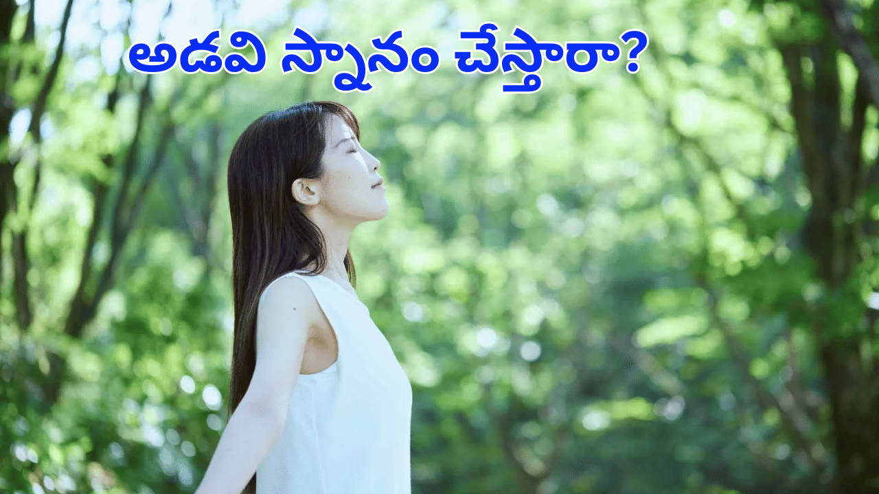 నీటి స్నానం, పాల స్నానం కాదు.. అడవి స్నానంతో ఎన్ని లాభాలో తెలుసా..?