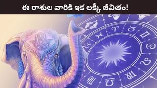 Optical Illusion: మీకో సవాల్.. 10 సెకన్లలో ఈ చిత్రంలో దాగి ఉన్న పిల్లిని గుర్తిస్తే.. మీ తోపులు!