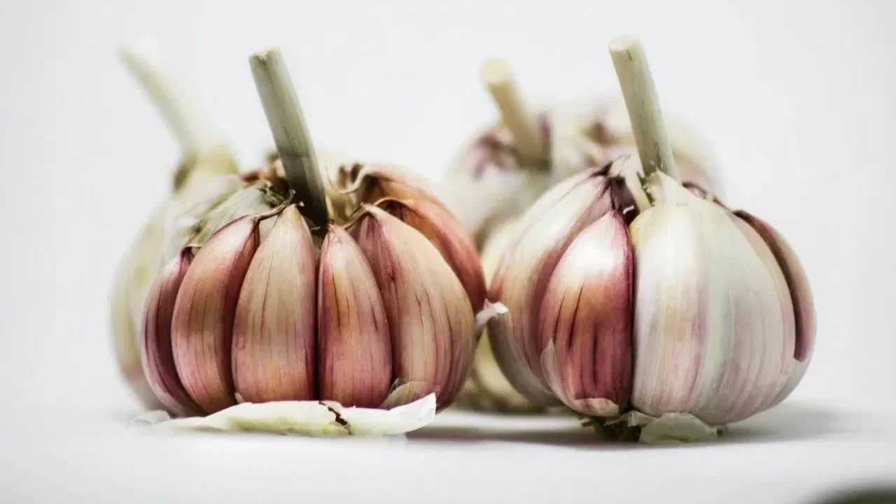 వెల్లుల్లి లేకుండా ఏ వంటకం కూడా పూర్తి కాదు. ఆహారంలో వెల్లుల్లిని జోడించడం వల్ల వంటకాలకు ప్రత్యేక రుచి వస్తుంది. వెల్లుల్లి తినడం ఆరోగ్యానికి ఎంతో మేలు చేస్తుంది.