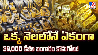 దమ్ముంటే రా పట్టుకో.. కుక్కకు పక్షి సవాల్‌