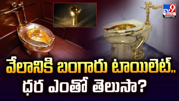 వేలానికి బంగారు టాయిలెట్.. ధర ఎంతో తెలుసా వేలానికి బంగారు టాయిలెట్.. ధర ఎంతో తెలుసా
