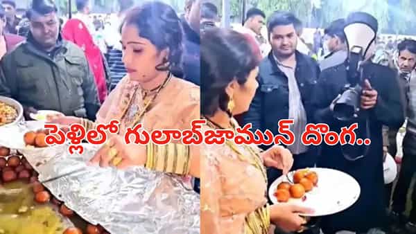 Viral Video: పెళ్లిలో గులాబ్జామున్ దొంగ.. కెమెరామెన్ ఎదురుపడగానే ఏం చేసిందంటే...
