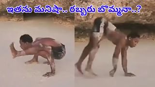 దేశంలోనే అతి చిన్న రైలు..కేవలం 3 కోచ్‌లతో ప్రయాణం మరుపురాని జ్ఞాపకం..