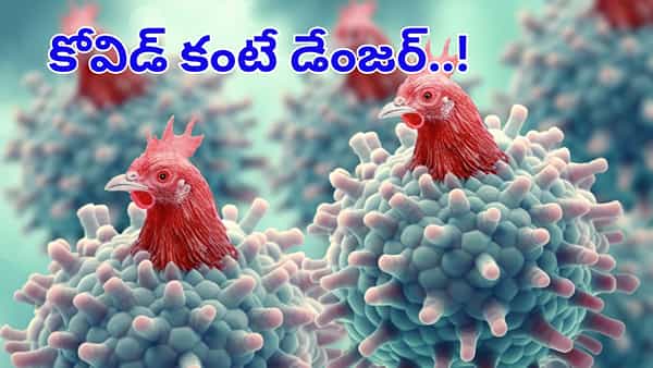 H5 Bird Flu: ఓరీ దేవుడో.. దడ పుట్టిస్తున్న మరో కొత్త వైరస్..! లైట్ తీసుకున్నారంటే..