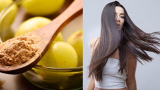 Longer Life:ఈ బోరింగ్ అలవాట్లు మీకుంటే వందేళ్ల ఆయుష్షు గ్యారెంటీ.. లైఫ్ సీక్రెట్స్!