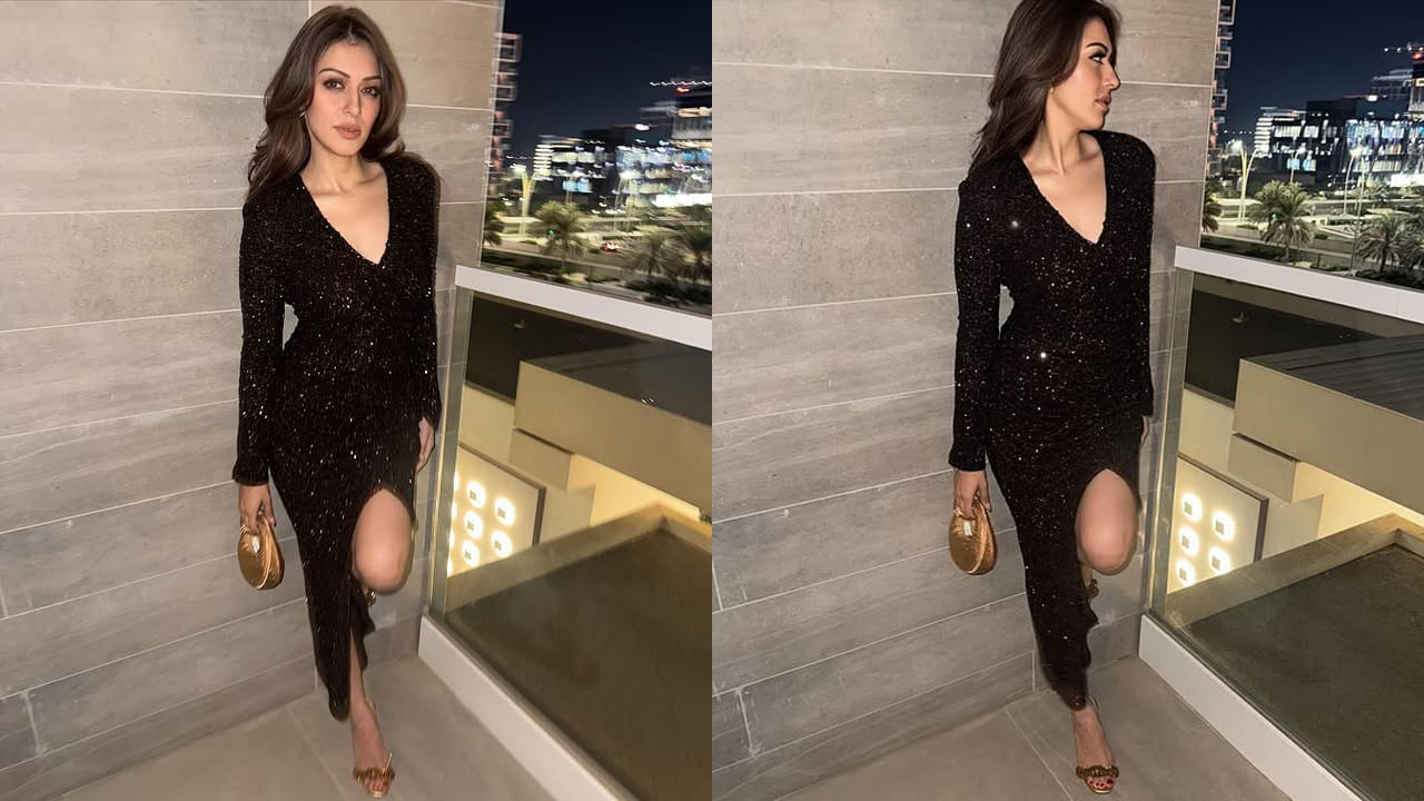 ఇక తెలుగులో దేశముదురు మూవీతో హీరోయిన్గా ఎంట్రీ ఇచ్చి, యూత్ ఫేవరెట్ అయిపోయింది. ఈ అమ్మడు దేశముదురు సినిమాతో హిట్ అందుకొని వరసగా చాలా సినిమాల్లో నటించి మెప్పించింది.