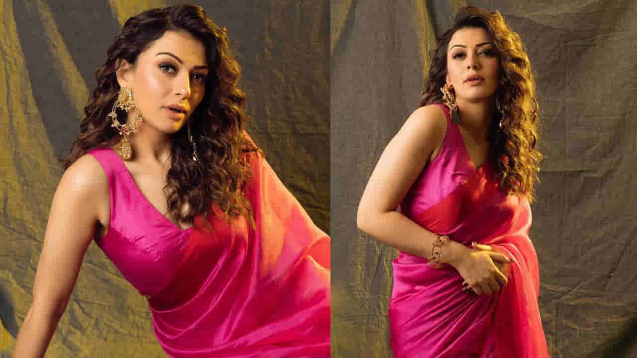 Hansika Motwani: సినిమాలు లేకపోయినా తగ్గని డిమాండ్.. హాన్సిక సంపాదన తెలిస్తే మతిపోద్ది సామీ.. ఆస్తులు ఎంతంటే..