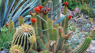 ఆఫీసులో అధిక వర్క్‌తో ఒత్తిడికి లోనవుతున్నారా? బెస్ట్ టిప్స్ ఇవే!