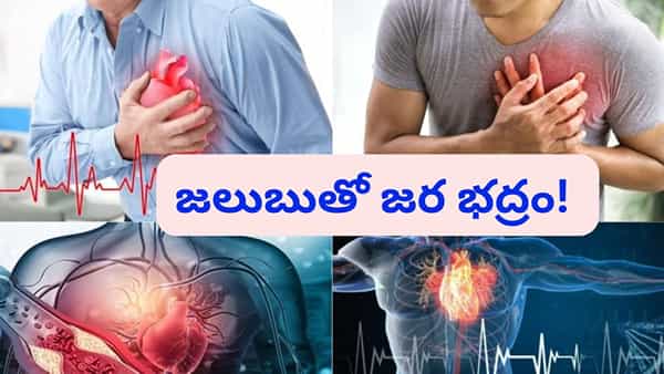 Health Alert Tips: తస్మాత్ జాగ్రత్త..! జలుబు కూడా గుండెపోటుకు కారణమవుతుంది..?