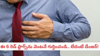 Dieting Tips: డైటింగ్ చేస్తున్నారా?.. మీ డైట్‌లో ఈ ఫ్రూట్‌ కచ్చితంగా ఉండాల్సిందే.. ప్రయోజనాలు తెలిస్తే..