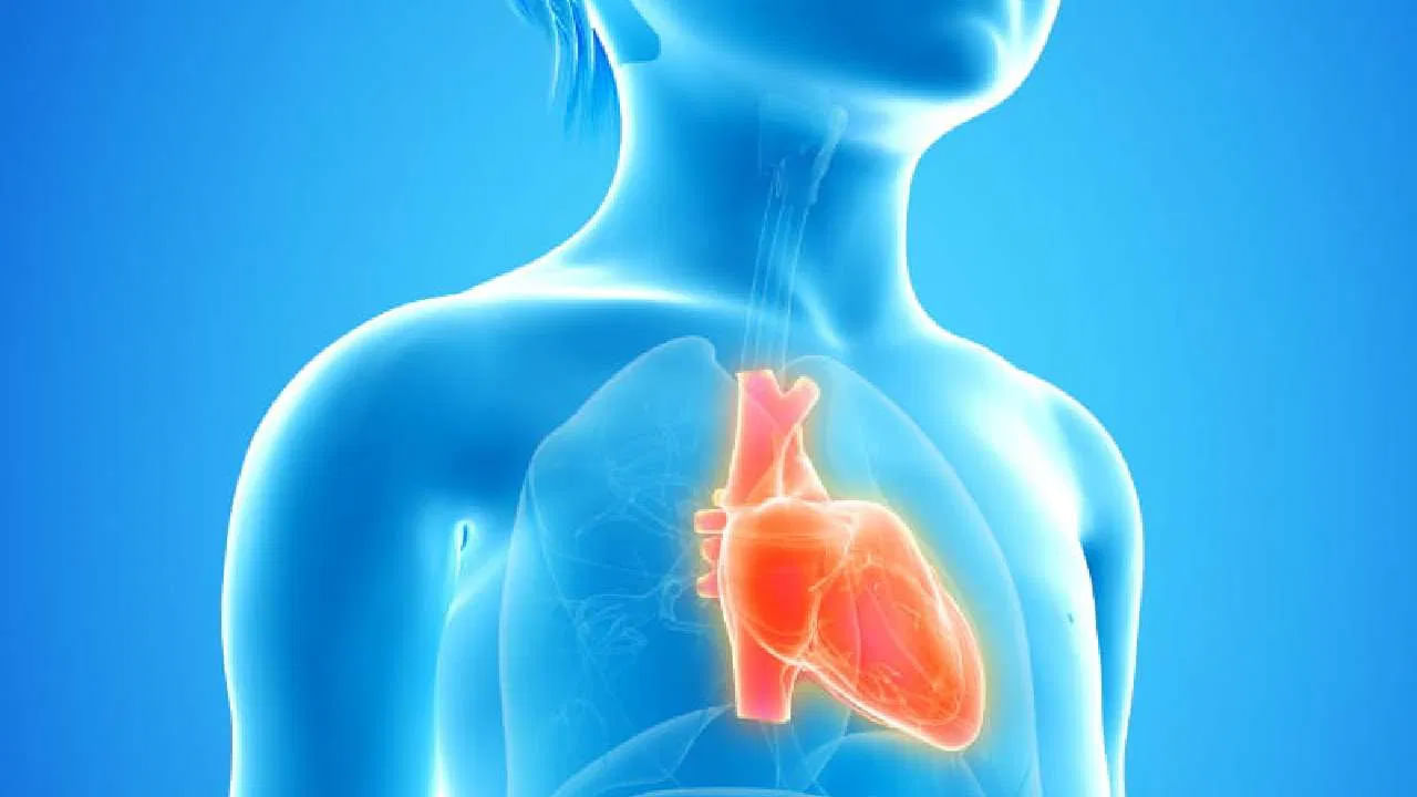 పిల్లల్లో గుండె సమస్యలు రాకుండా నిరోధించడానికి కొన్ని జాగ్రత్తలు తీసుకోవాలి. పిల్లలకు పండ్లు, కూరగాయలు, పప్పులు, తక్కువ కొవ్వు, తక్కువ చక్కెర ఉన్న ఆహారాలను ఇవ్వండి. వేయించిన, ప్రాసెస్డ్ ఫుడ్స్ను పూర్తిగా తగ్గించండి. ప్రతి రోజు కనీసం 30 నుండి 45 నిమిషాలు పాటు పిల్లలు ఆరుబయట ఆడుకోవడానికి, వాకింగ్కు లేదా ఇతర ఆటలకు కేటాయించేలా చూడాలి. ప్రకృతికి దగ్గరగా ఉండటం వల్ల వారు చురుకుగా ఉంటారు.