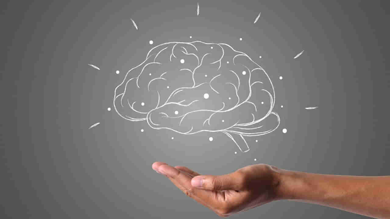 మాయ లేదు మంత్రం లేదు.. రోజూ 40 నిమిషాలు ఇలా చేస్తే.. మీ బ్రెయిన్ సూపర్ స్పీడ్లో పనిచేస్తుంది!