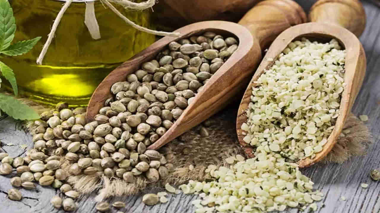 జనపనార గింజలతో అద్భుత ఆరోగ్య ప్రయోజనాలు..! లాభాలు తెలిస్తే..