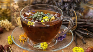 Brain Health: ఒక్క చుక్క కూడా పెద్ద ముప్పే.. మందు మీ మెదడును ఎలా దెబ్బతీస్తుందో తెలిస్తే షాకే..