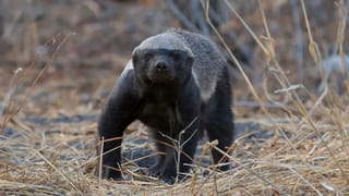 Perfume Mistakes: మెచ్చిన పర్‌ఫ్యూమ్‌.. ఇలా వాడితే తంటాలే! కాస్త చూస్కోండి..