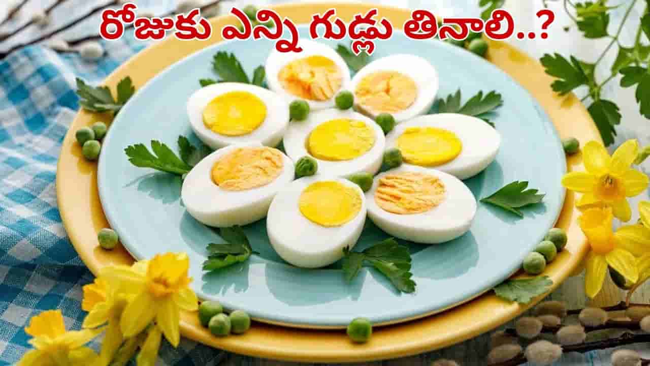 Eggs: చలికాలంలో రోజుకు ఎన్ని గుడ్లు తినాలి.. విటమిన్ డి కోసం..