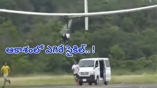 Viral Video: ఆన్‌లైన్‌లో బంగారు నాణెం ఆర్డర్ పెట్టాడు.. పార్శిల్‌లో వచ్చింది చూడగా