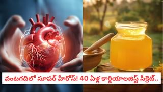 భయపెట్టే కలల వెనుక ఇంత కథ ఉందా.. మీ ఆరోగ్యాన్ని ఎలా దెబ్బతీస్తాయంటే..