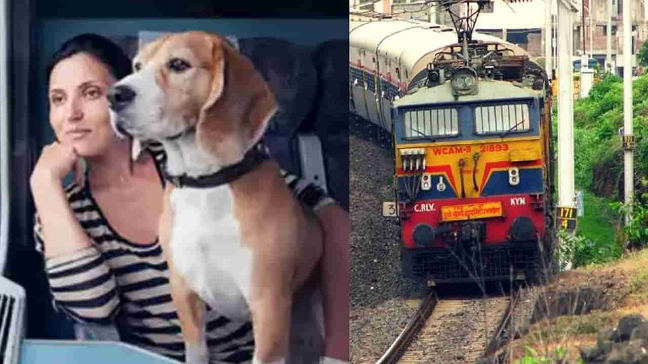 Indian Railways: రైలులో ఈ జంతువులను తీసుకెళ్లొచ్చు.. టికెట్ ఎలా బుక్ చేయాలంటే..?