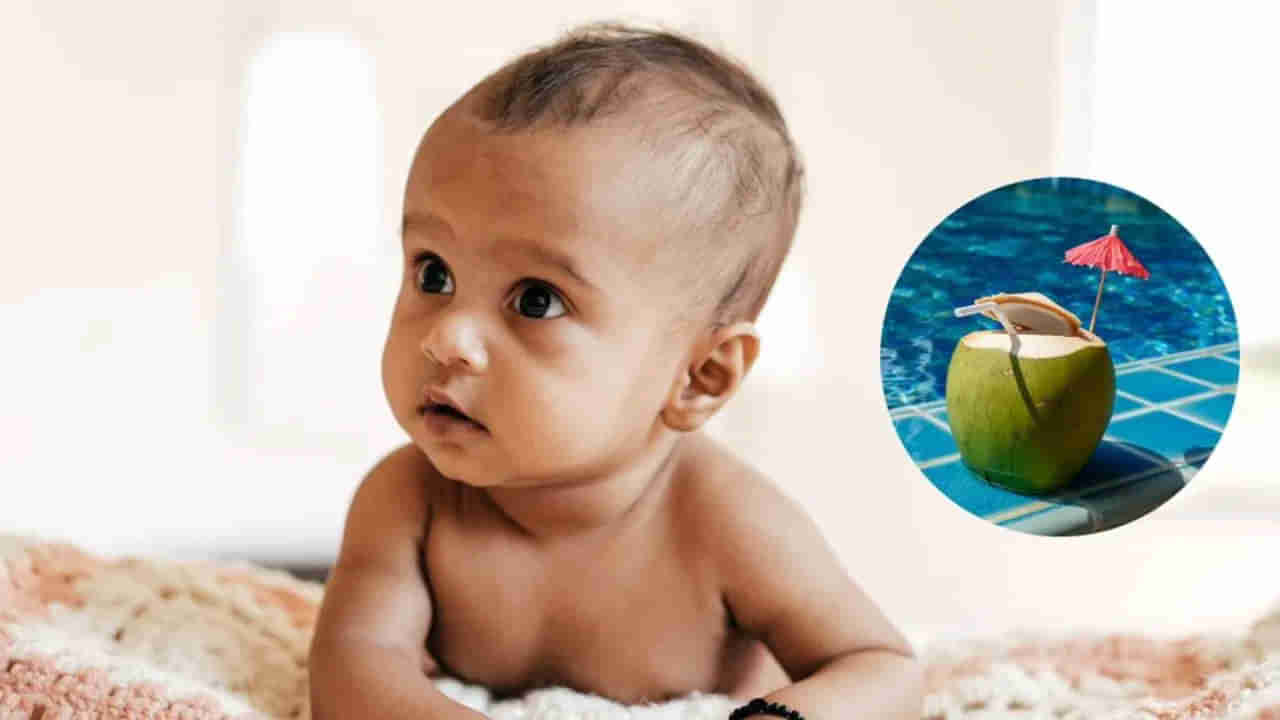 Coconut Water: ఏడాది లోపు పిల్లలకు కొబ్బరి నీళ్లు తాపవచ్చా?.. నిపుణులు ఏం చెబుతున్నారు!