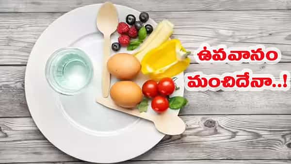 ఇకపై అల్పాహారం అవసరం లేదు.. కొత్త పరిశోధనలో ఆశ్చర్యకరమైన విషయాలు!